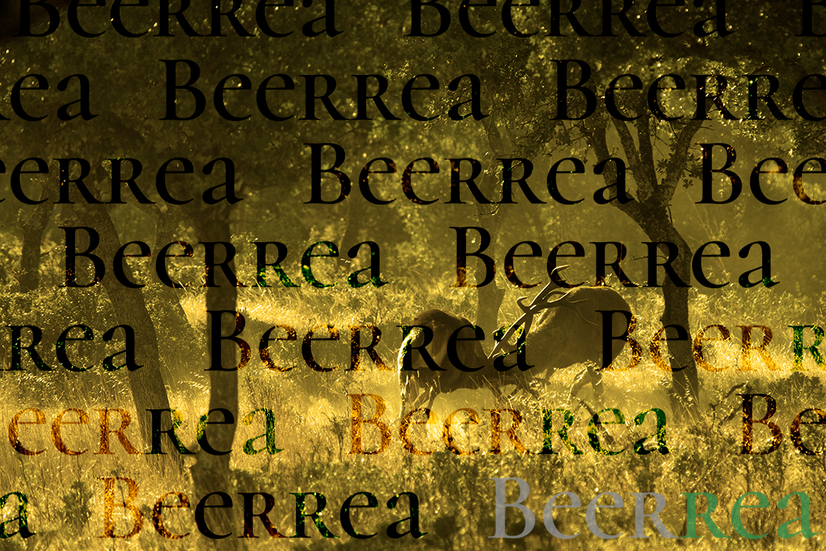 Portada ID Beerrea